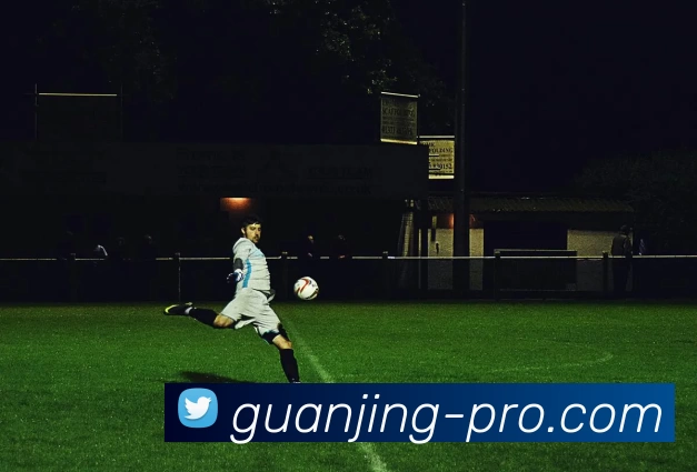 冠竞电竞专业版服务体系